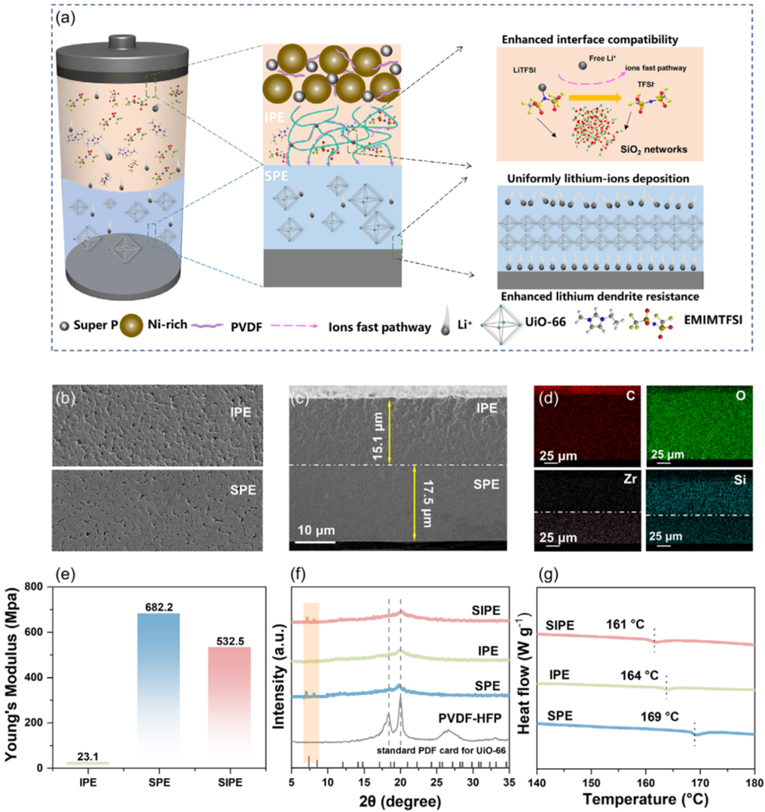 離子液體賦能不對稱固態(tài)電解質_離子液體【默尼離子液體定制】